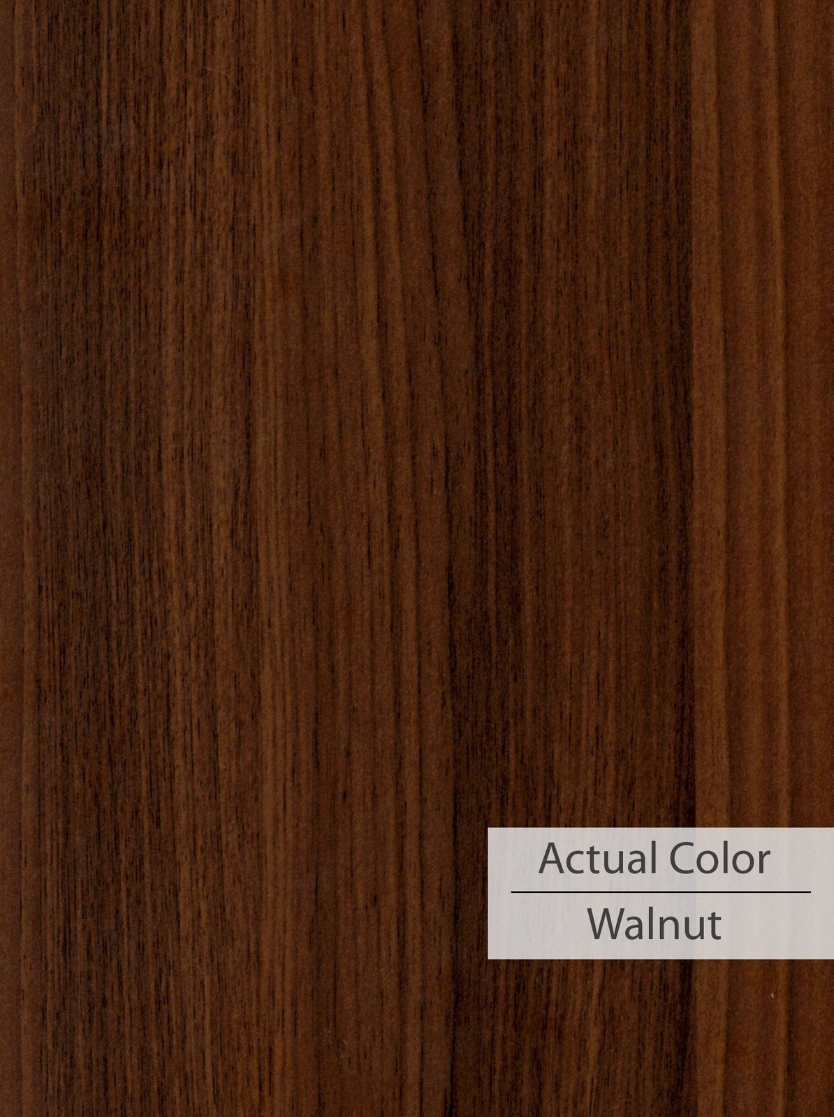Uniclass Study Table in Walnut Colour by Dream Box - Luxe Maple