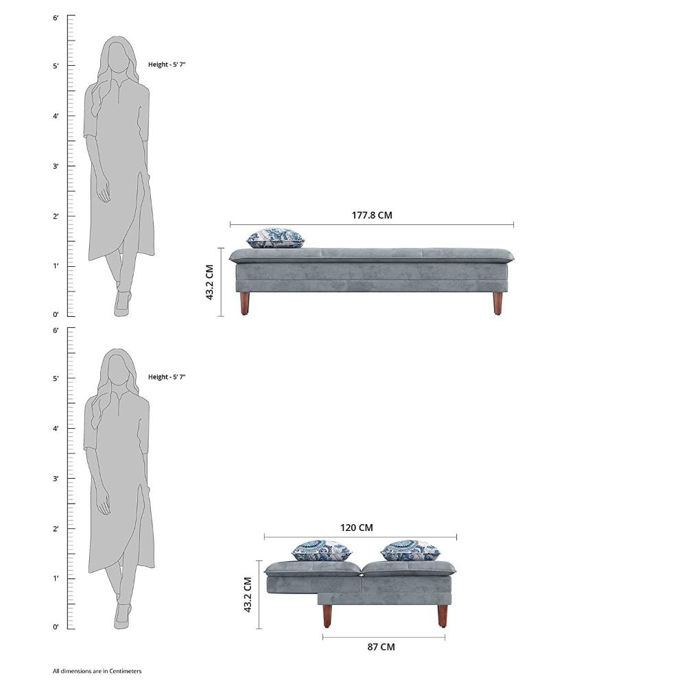 Robin Sofa Cum Bed in Grey Color - Luxe Maple