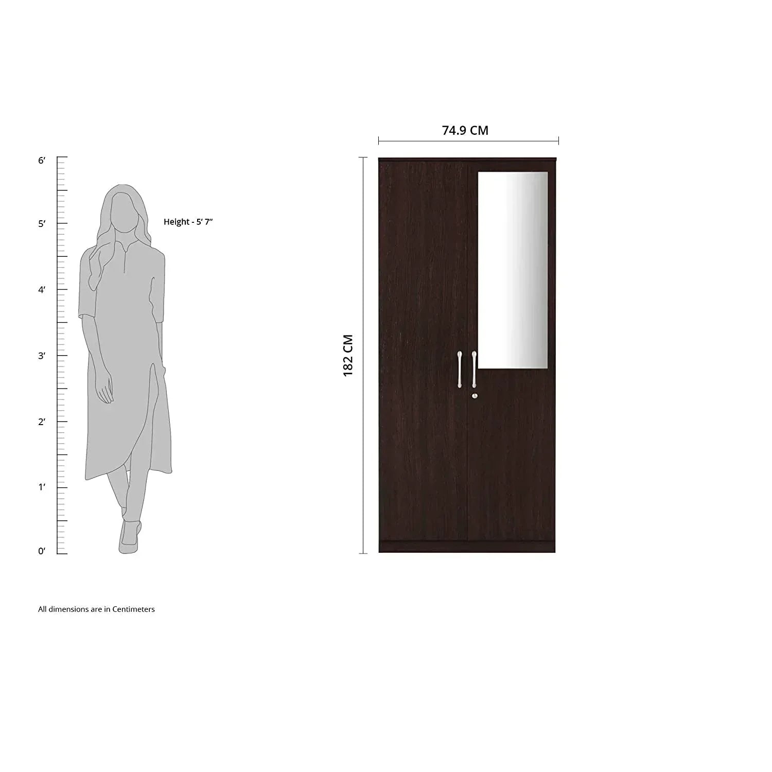 Rolex Engineered Wood Wardrobe 2 Doors - Luxe Maple