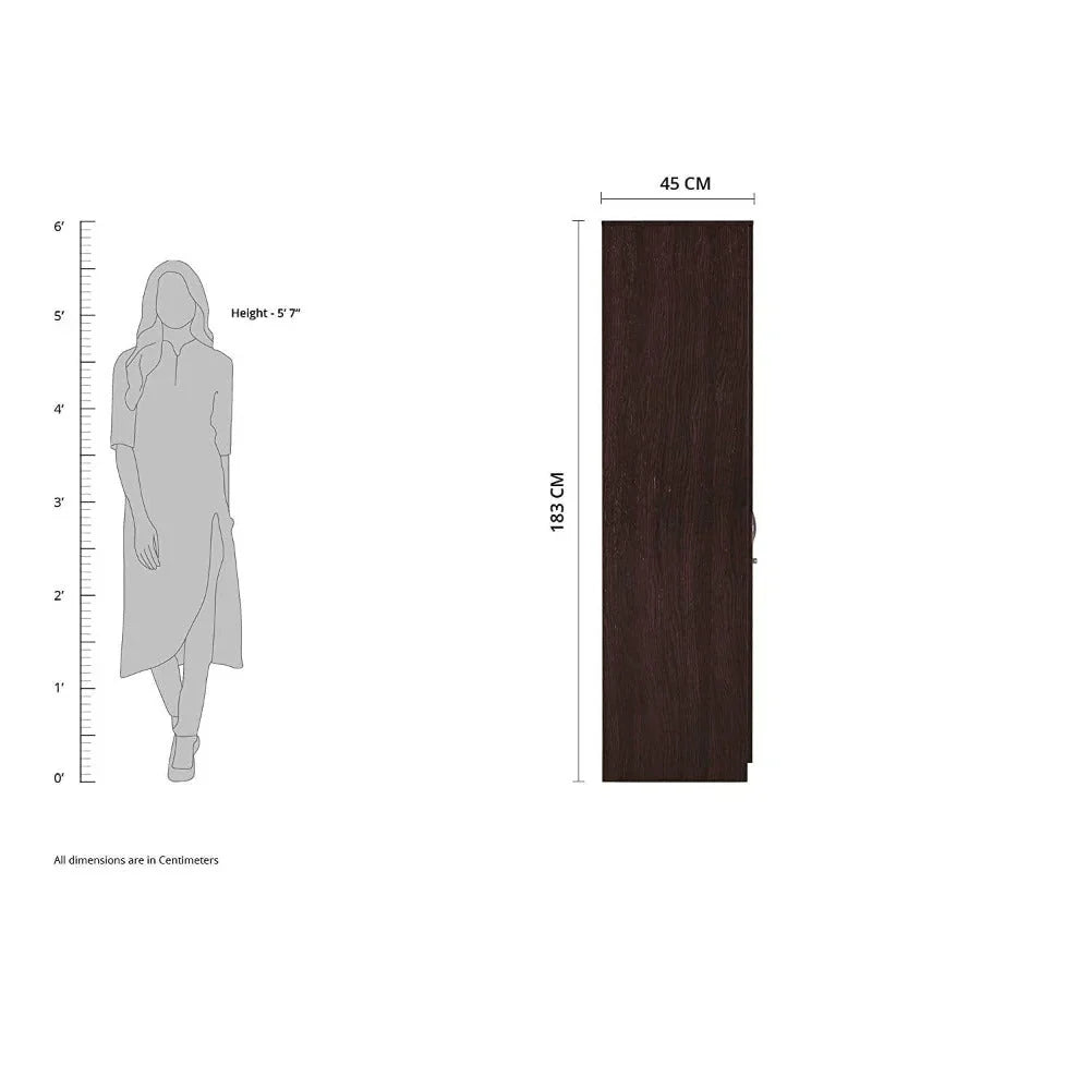 Rolex Engineered Wood Wardrobe 2 Doors - Luxe Maple