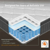 Coil Spring Mattress By Luxe Maple - 8 Inches