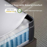 Coil Spring Mattress By Luxe Maple - 8 Inches