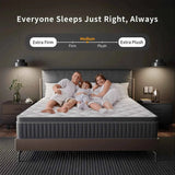 Coil Spring Mattress By Luxe Maple - 8 Inches