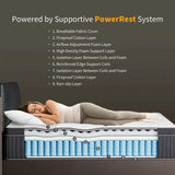 Coil Spring Mattress By Luxe Maple - 8 Inches