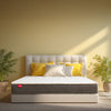 Kurlon Ortho 6 Inches Mattress - Luxe Maple